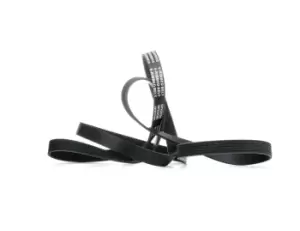 Image of RIDEX V-ribbed belt MERCEDES-BENZ,FORD,JAGUAR 305P0185 1303929,1416245,3S5Q6C301BA 6G9Q6C301CA,3968234,4071946,C2D19766,4892791AA,53008722,53010288