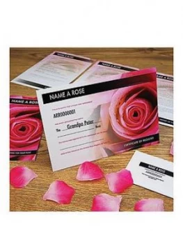 Image of Name A Rose