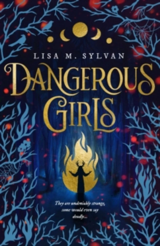 Image of Dangerous Girls. Paperback. By Lisa M Sylvan Books