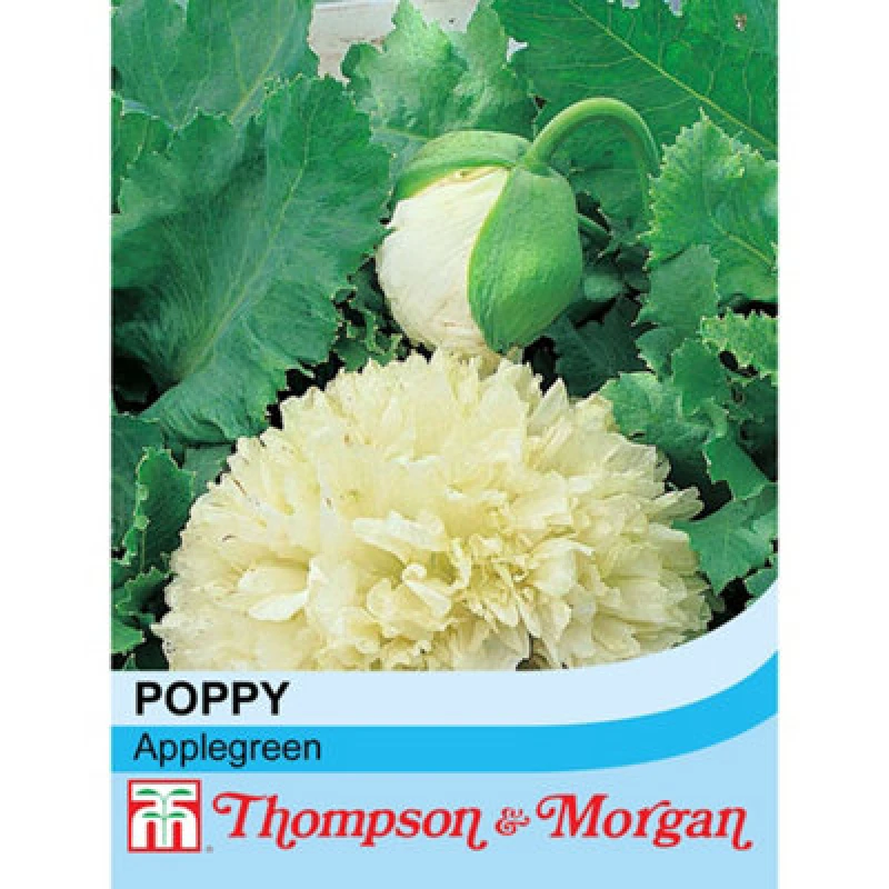 Image of Thompson & Morgan Poppy Applegreen 1 Packet (60 Seeds)