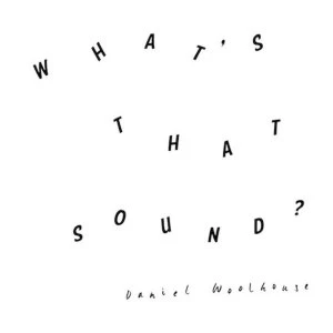 Image of Daniel Woolhouse - WhatS That Sound Vinyl