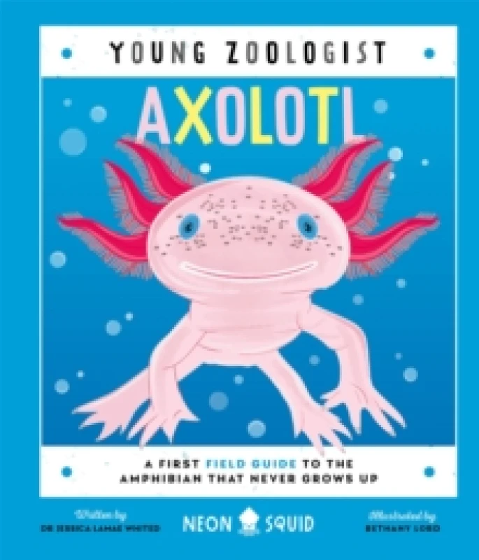 Image of Axolotl (Young Zoologist) : A First Field Guide to the Amphibian That Never Grows Up Hardback