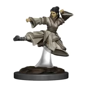 Image of D&D Icons of the Realms Premium Miniature pre-painted Human Monk Female Case (6)