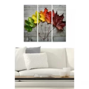 Image of MDF465000707 Multicolor Decorative MDF Painting (3 Pieces)