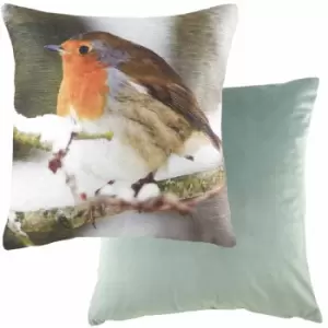 Image of Evans Lichfield Photo Robin Chenille Faux Velvet Cushion Cover, Multi, 43 x 43 Cm