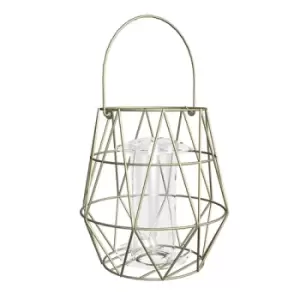 Image of Gardman Aura Small Bird Feeder 1/2 plt Display Tray