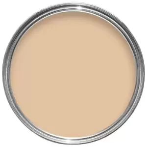 Image of Dulux Weathershield All Weather Protection Cornish Cream Smooth Masonry Paint 250ml