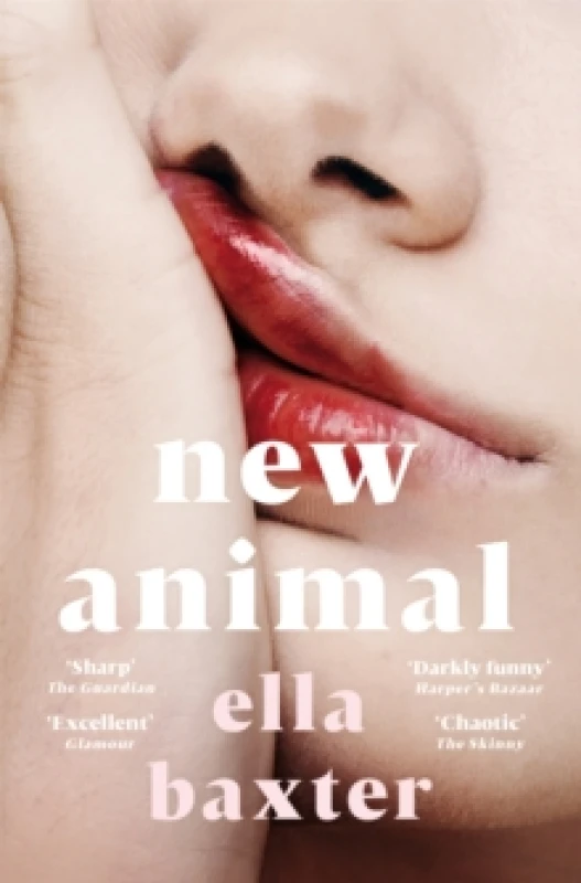 Image of New Animal Paperback / softback