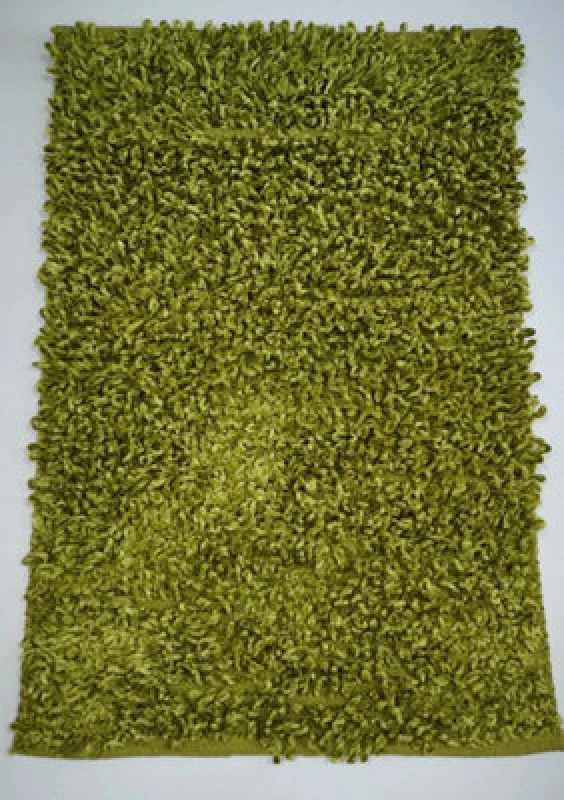 Image of Rapport Home Oxford Shaggy Rug (55x85) in Green Green Unisex