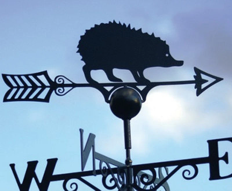 Image of Poppy Forge Hedgehog Weathervane - Hand Made By Traditional Forge - Powder Coated Steel Wind Vane - Steel - W61 X H88cm - Black