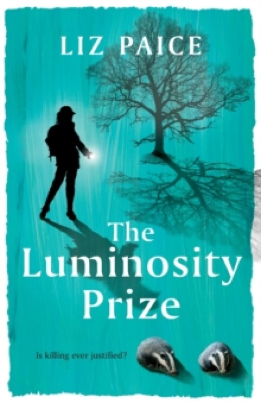 Image of The Luminosity Prize Paperback / softback