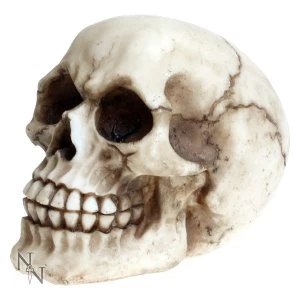 Image of Joker Skull