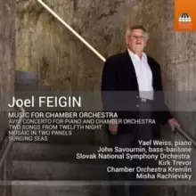 Image of Joel Feigin: Music for Chamber Orchestra