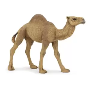 Image of Papo Wild Animal Kingdom Dromedary Toy Figure, 3 Years or Above,...
