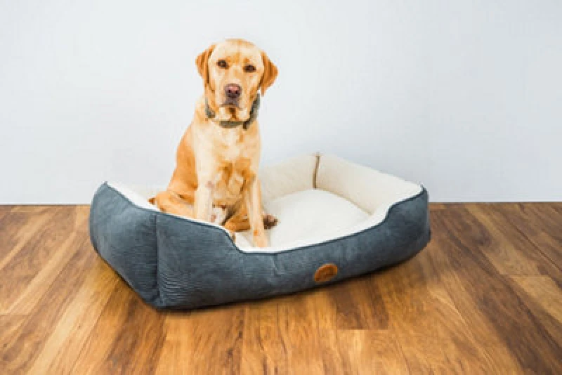 Image of Snug & Cosy Pets Snug And Cosy Pets Malvern Dog Bed Bedding Rectangle Reversible Charcoal Medium 30"