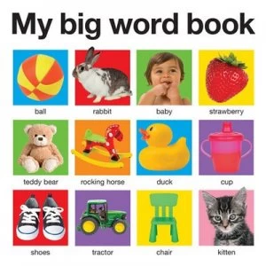 Image of My Big Word Book by Roger Priddy Book