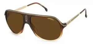 Image of Carrera Sunglasses SAFARI65/N 0MY/70