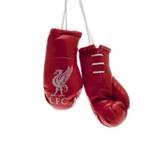 Image of Liverpool FC Mini Boxing Gloves