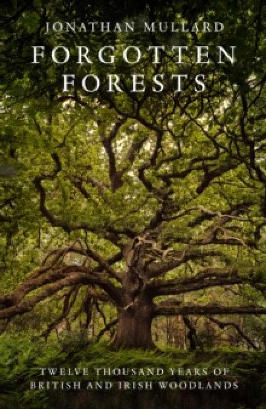 Image of Forgotten Forests : Twelve Thousand Years of British and Irish Woodlands Hardback