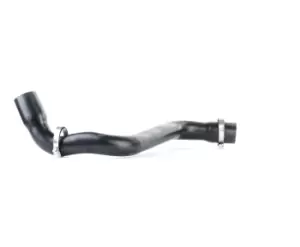Image of ESEN SKV Turbocharger Hose 24SKV963 Charger Intake Hose RENAULT,SCENIC II (JM0/1_),MEGANE II Coupe-Cabriolet (EM0/1_),MEGANE II Kombi (KM0/1_)
