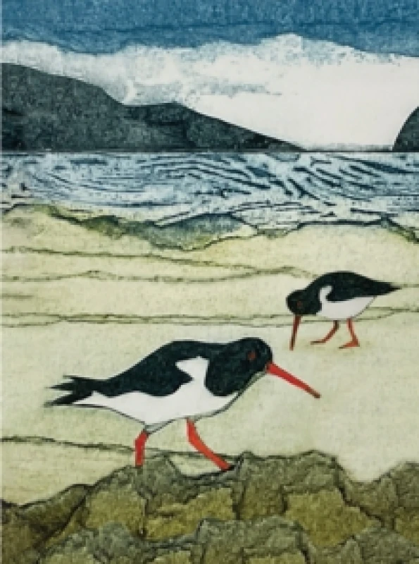 Image of Wild Birds Pocket Notebook: Oystercatcher Notebook / blank book