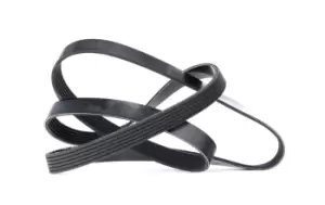 Image of DAYCO V-ribbed belt 6PK1565 Serpentine belt,Auxiliary belt FIAT,PEUGEOT,TOYOTA,QUBO (225),FIORINO Kasten/Kombi (225),206 Schragheck (2A/C),206 CC (2D)