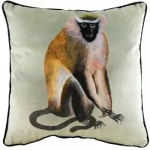 Image of Evans Kibale Monkey Cushion - Multi