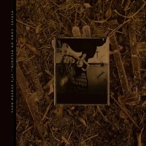 Image of Pixies - Come On Pilgrim... It's Surfer Rosa Vinyl