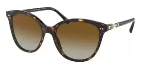 Image of Bvlgari Sunglasses BV8235 Polarized 504/T5