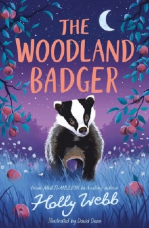 Image of The Woodland Badger Paperback / softback
