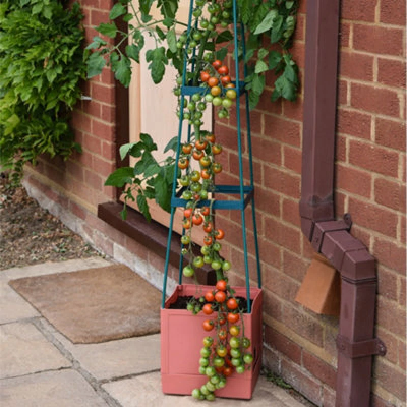 Image of Garden Gear Self Watering 4 Tier Tomato Tower Jumbo Fruit & Vegetable Vine Plant, Support Grower 1.5M Weatherproof Tower Garden Planter (2)