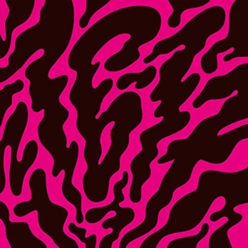 Image of 16-17 - Phantom Limb Vinyl