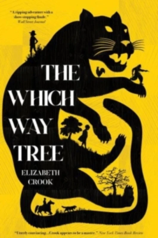 Image of The Which Way Tree Paperback / softback