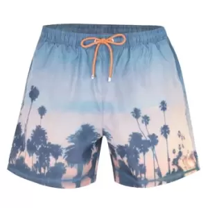 Image of Boss Boss Springfish Swim Shorts Mens - Blue