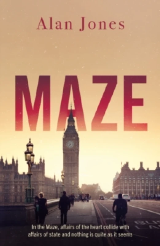 Image of Maze Paperback / softback