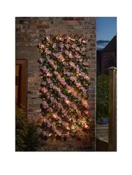 Image of Smart Solar 50 LED Solar In-Lit Pink Blossom Trellis 180 X 60 Cm