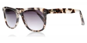 Image of Taylor Morris Saratoga Sunglasses Grey / Tortoise C3 51mm