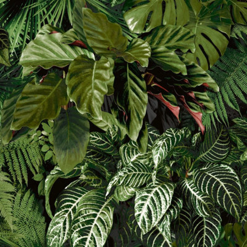 Image of Grandeco Living Wall Tropical Fern Foliage Biophilic Textured Wallpaper 10m x 53cm Green A58601