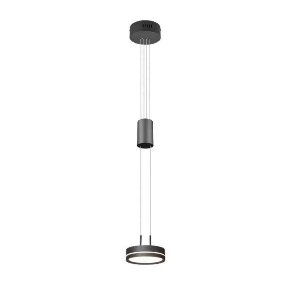 Image of Franklin Modern 9W LED Pendant Ceiling Light Anthracite 3000K