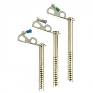 Image of Black Diamond Ice Screw 22cm - Green-silver