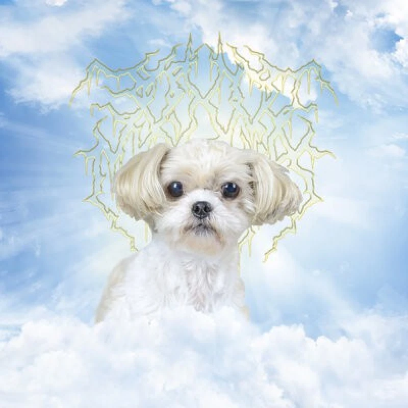 Image of 30,000 Monkies - Honesty, Integrity, Friendship, Passion CD Album - Used