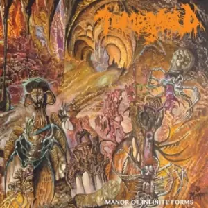 Image of Manor of Infinite Forms by Tomb Mold CD Album
