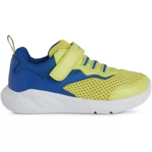 Image of GeoXSprintye Trainers - Green