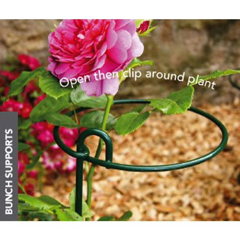Image of Small Bunch Support (Pack of 4) - Steel - L15.2 x W15.2 x H86.4cm - Green PoppyForgeSmallBuncSupPS08-4PK