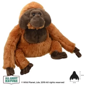 Image of Orangutan (All About Nature) Orangutan 23cm Plush