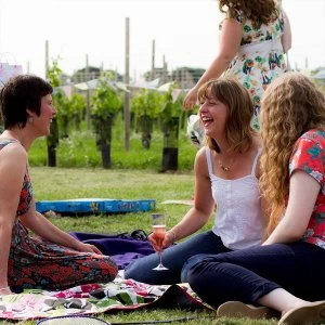 Image of Buyagift Vineyard Tour and Tasting with Lunch or Afternoon Tea for Two Special Offer