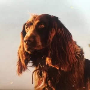 Image of The Size of the Night by Peter Kernel CD Album