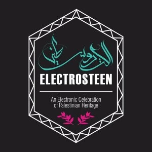 Image of Various - Electrosteen: An Electronic Celebration of Palestinian Heritage Vinyl