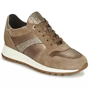 Image of Geox TABELYA womens Shoes Trainers in Beige