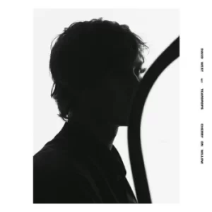 Image of Cherry On Willow by David West with Teardrops CD Album